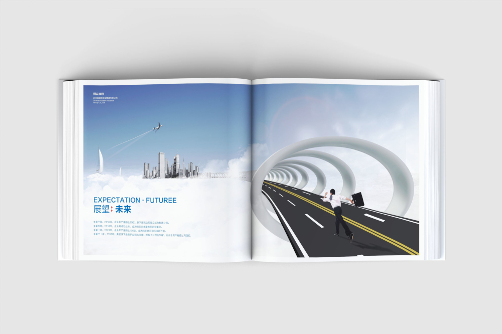 扎囊县画册设计